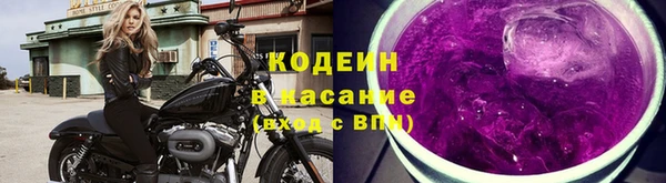 молекула духа Козловка