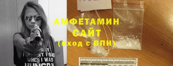 молекула духа Козловка