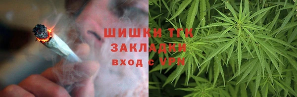 молекула духа Козловка
