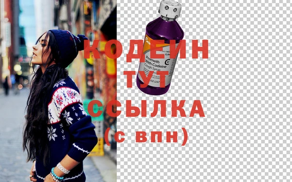 молекула духа Козловка