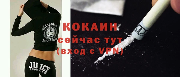 молекула духа Козловка