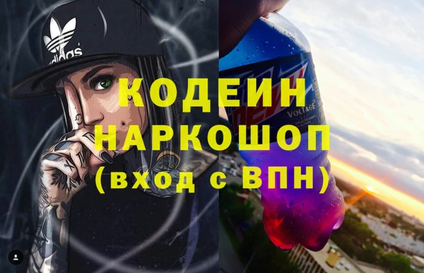 крисы Кодинск