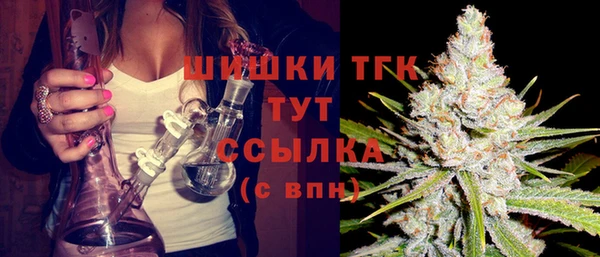 крисы Кодинск
