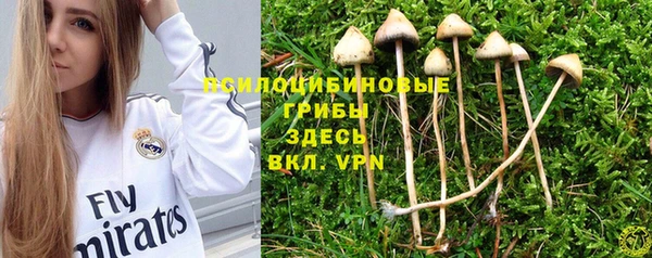 крисы Кодинск
