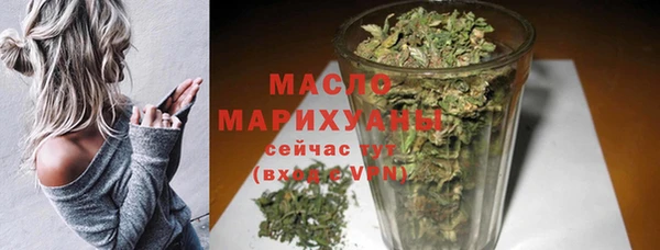 молекула духа Козловка