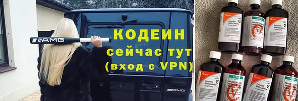 крисы Кодинск